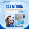 stt23-CAT-MI-DUOI-CO-DE-SEO-HAY-ANH-HUONG-GI-KHONG-1200x1200-1-webp_11zon.jpg